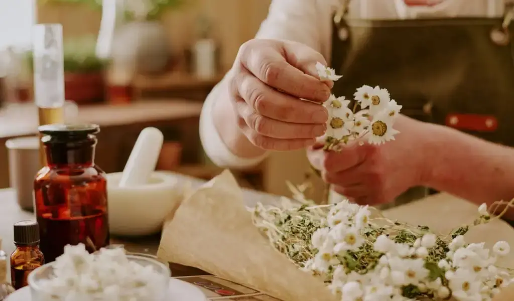 A perfumer's hand carefully selecting a flower petal.