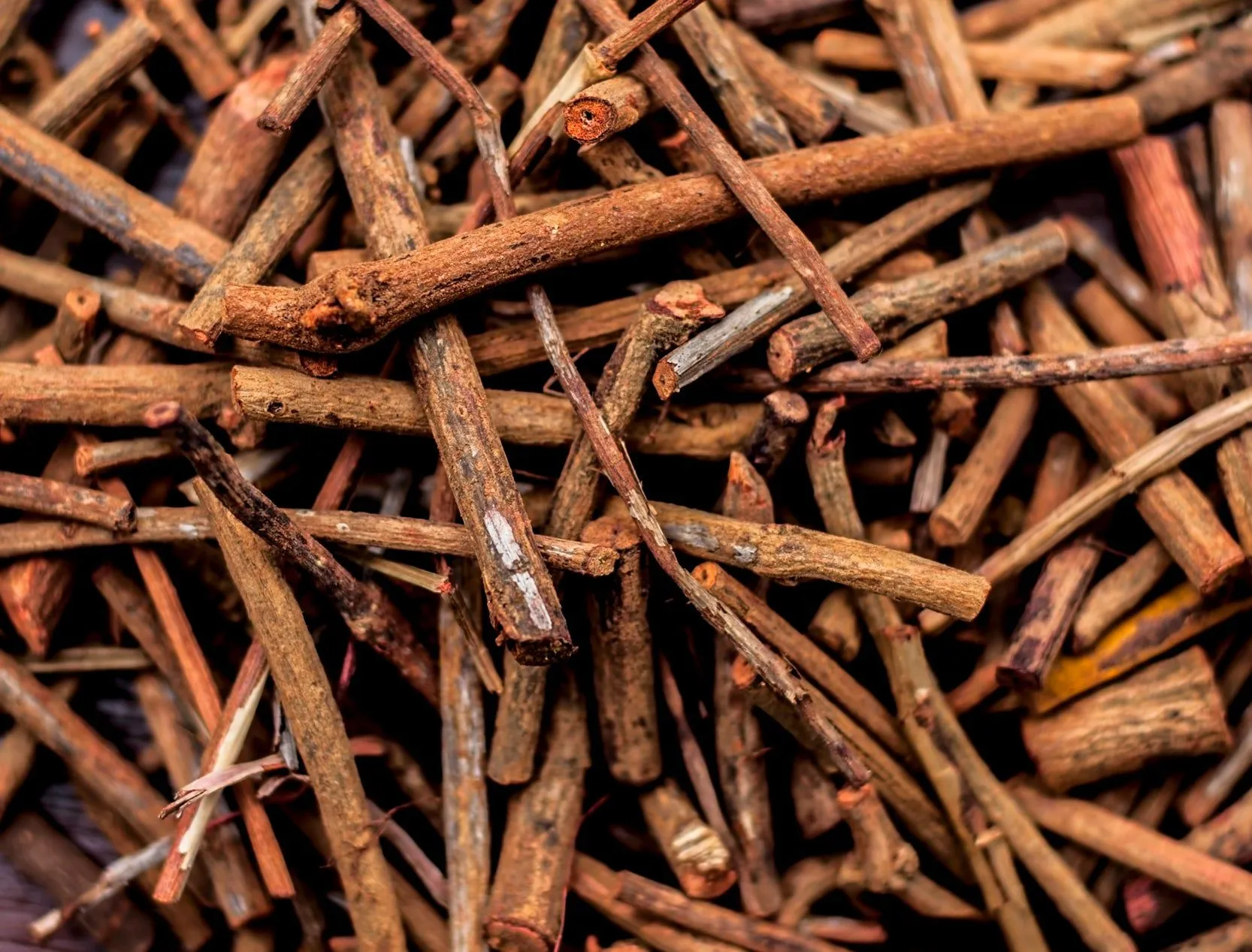 Close-up of Orris root, a signature ingredient.