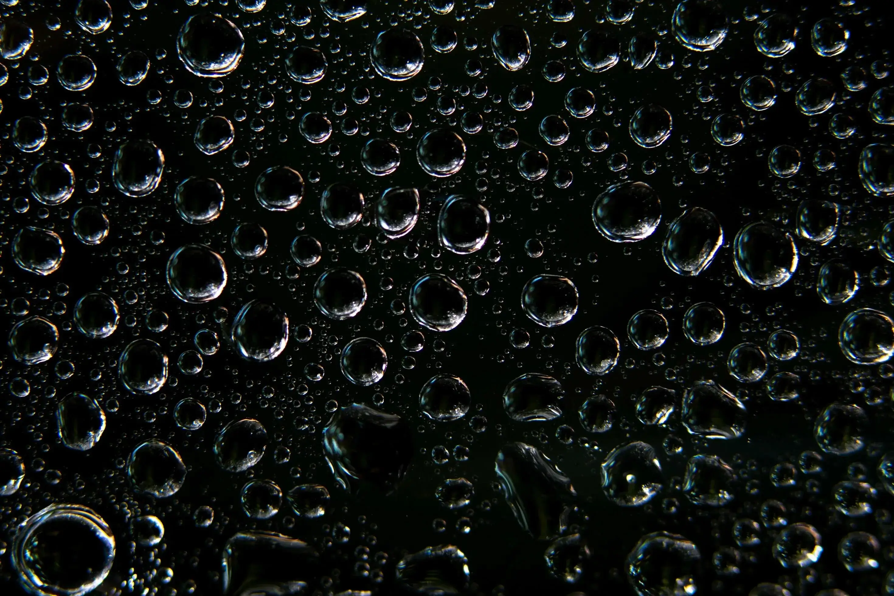 Water droplets on a dark surface.
