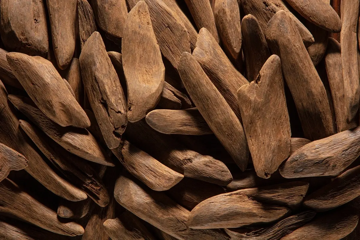 Textured piece of sandalwood.